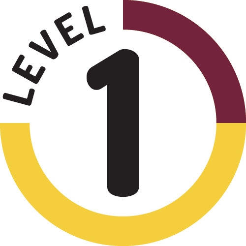 AirSENCE Operator Level 1
